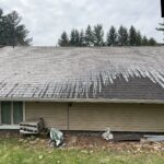 Mold Removal from Roof